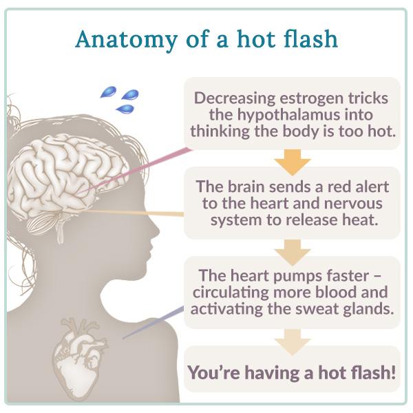 Understanding the Causes and Symptoms of Hot Flashes