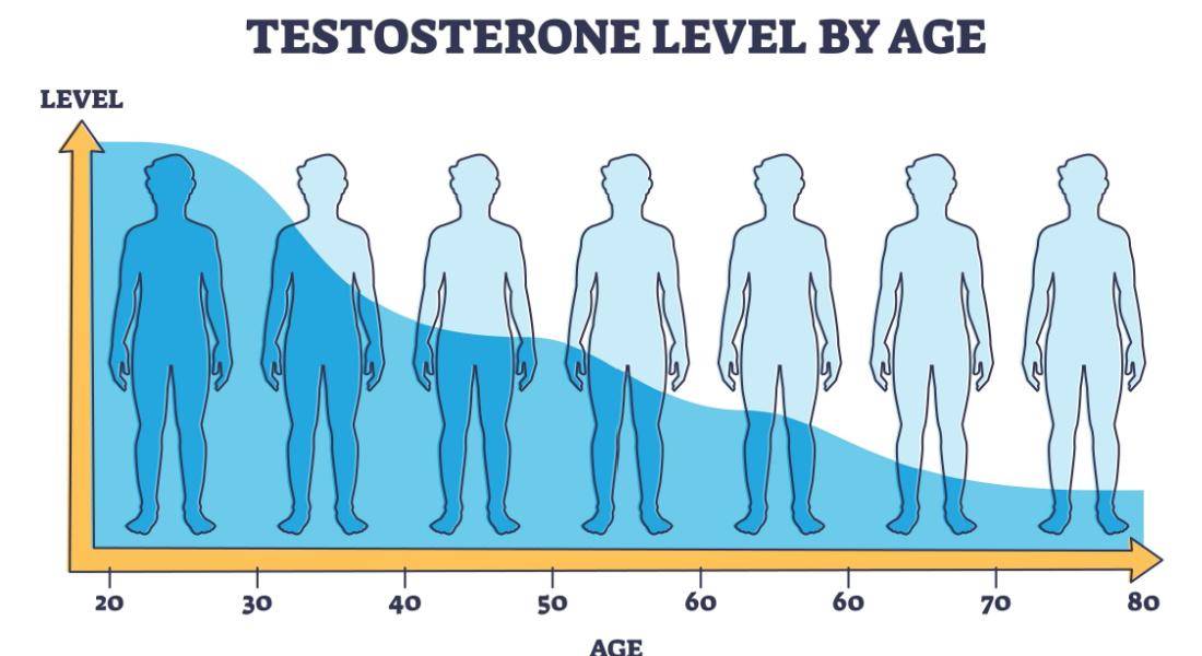 Understanding the Impact of Lifestyle Choices on Testosterone Levels