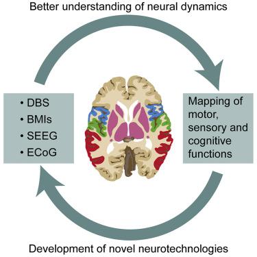 Expert Tips for Maximizing Neuro Surge's Cognitive Benefits