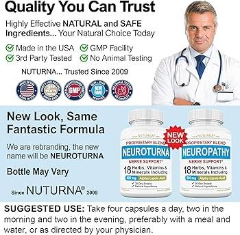 Key Ingredients in NU NERVE That Promote Nerve Health and Pain Relief