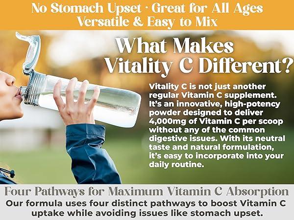 Expert Tips to Maximize the Benefits of Vitality Mix Every Day