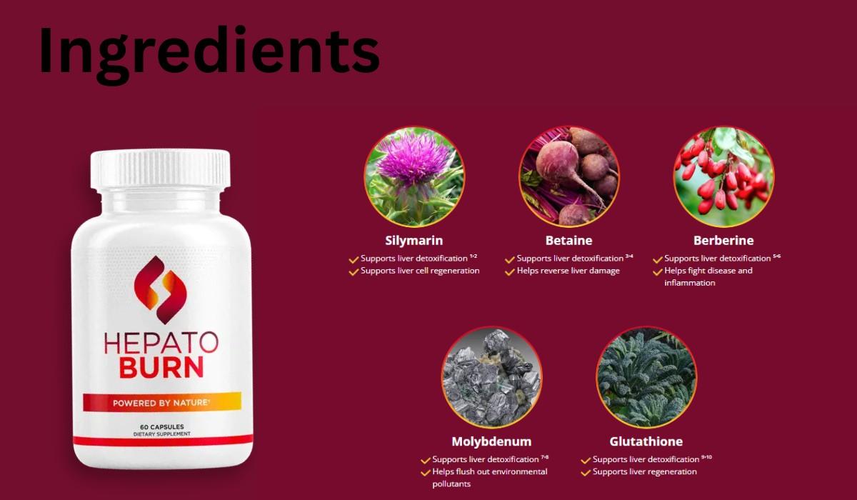 Real User Experiences Prove the Power of HepatoBurn's Formula
