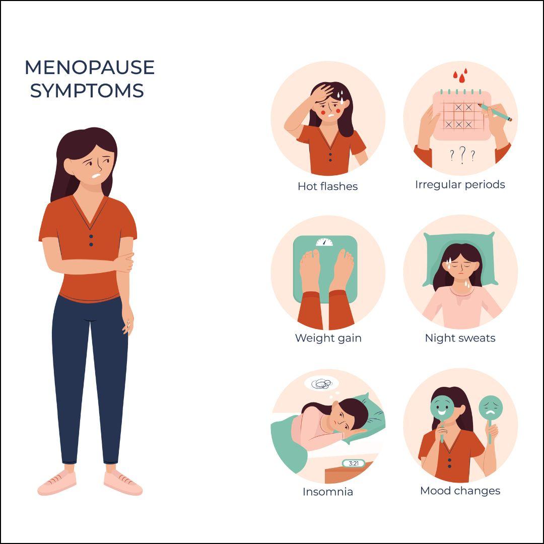 Herbal Remedies and Teas Backed by Research for Menopause Relief
