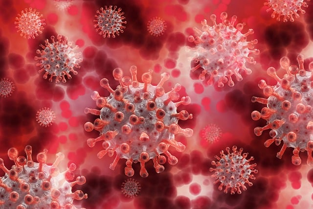 Top 12 Lower Blood Sugar Fast