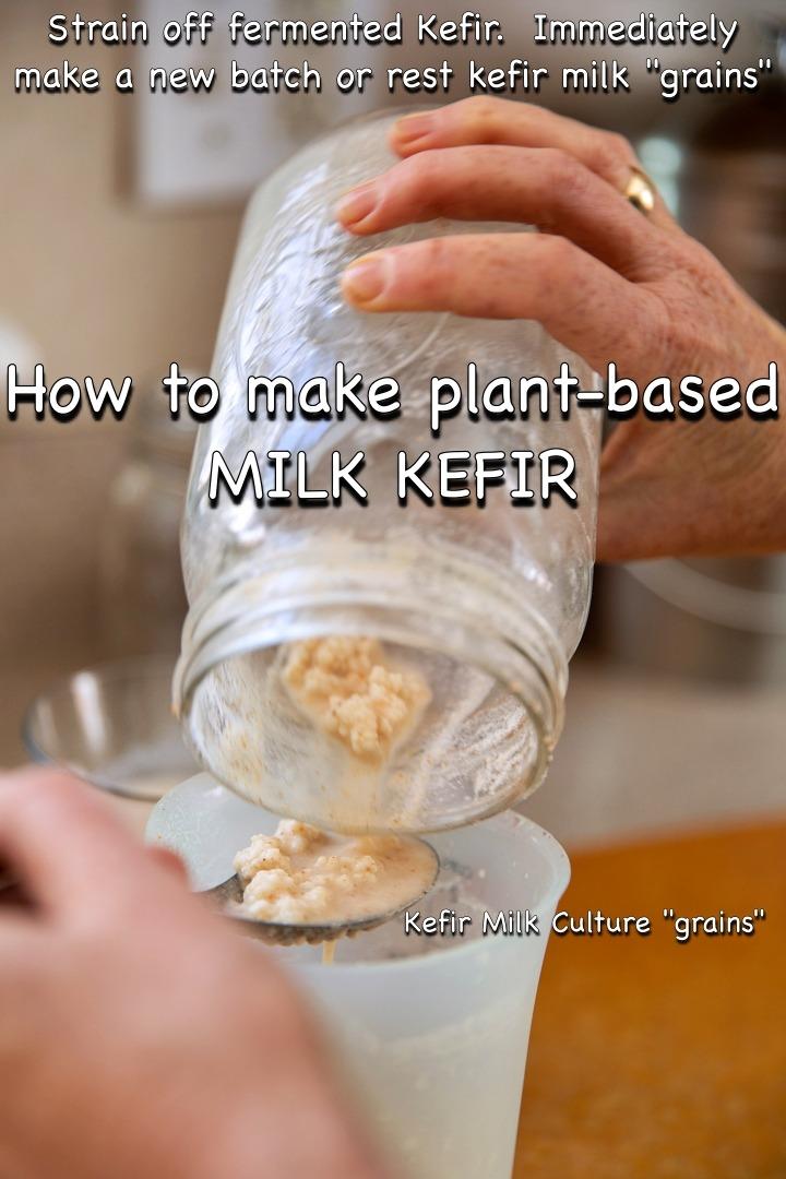 Tracking Progress and Adjusting Your Kefir-Based Plan