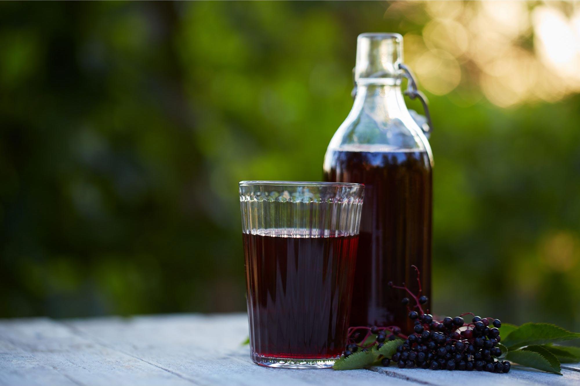 Scientific Evidence Supporting Elderberry for Fat Loss