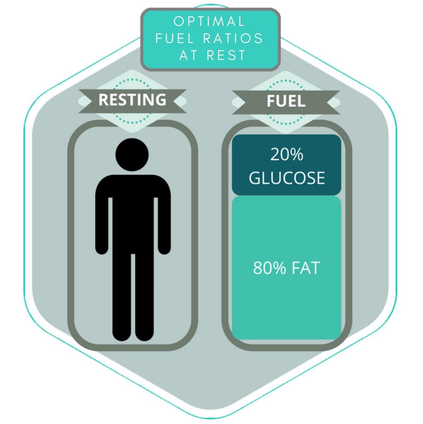 Monitoring Progress and Adjusting the Plan for Sustainable Results