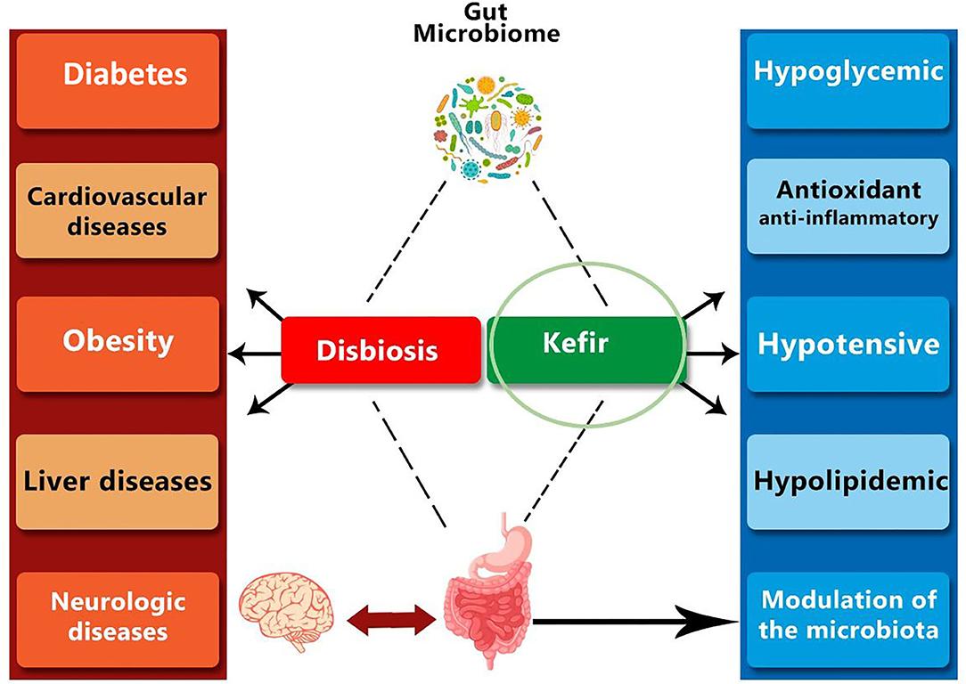 How Kefir Enhances Metabolism and Fat Burning