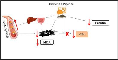 Understanding the Metabolic Benefits of Turmeric and Black Pepper