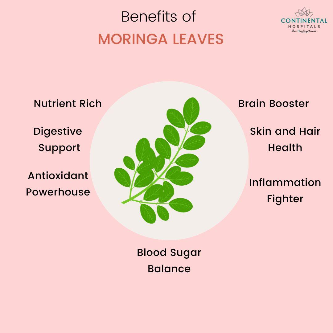 Incorporating Moringa into Your Daily Diet for Optimal Results