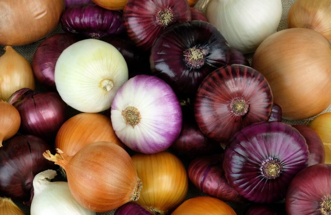 How to shed extra weight — lose 8kg in 21 days with red onions