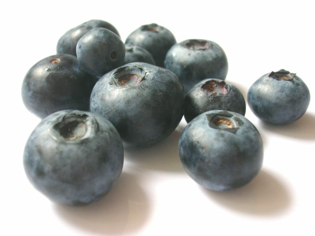 How to calm mood swings in 21 days using blueberries