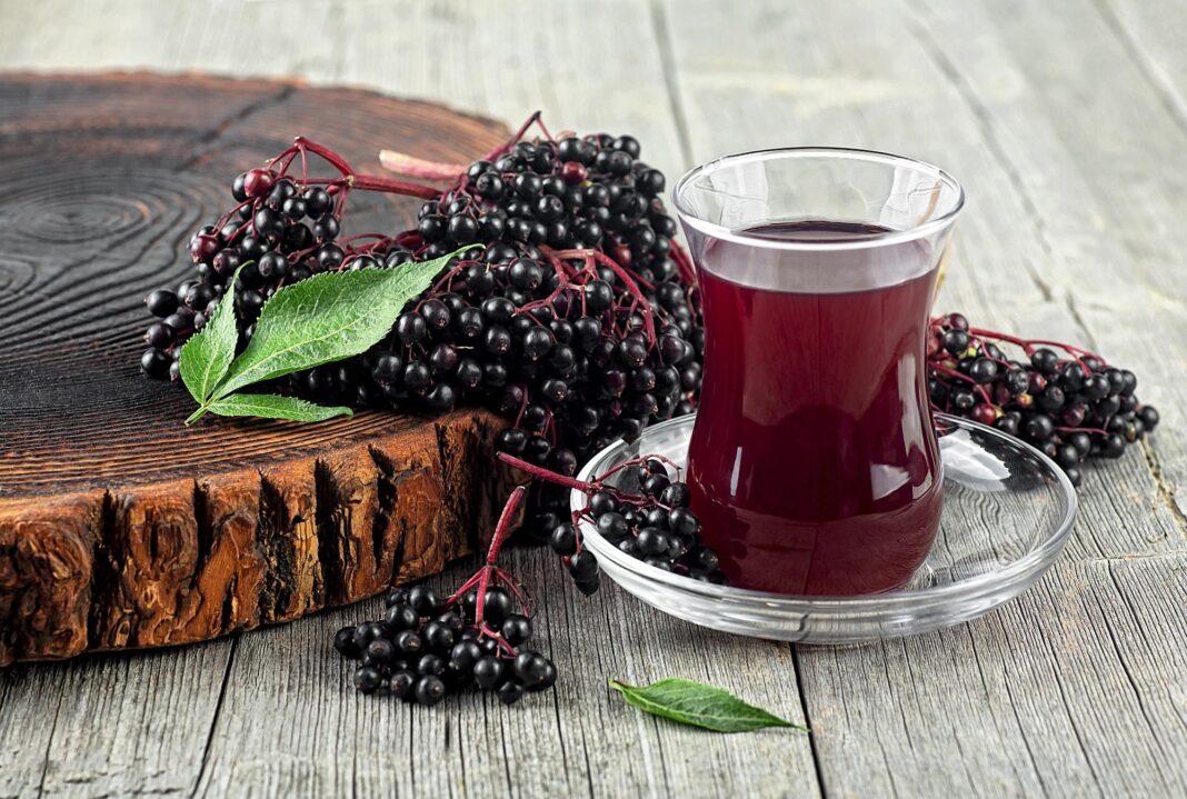 How to trim down fast — lose 5kg in 90 days with elderberry