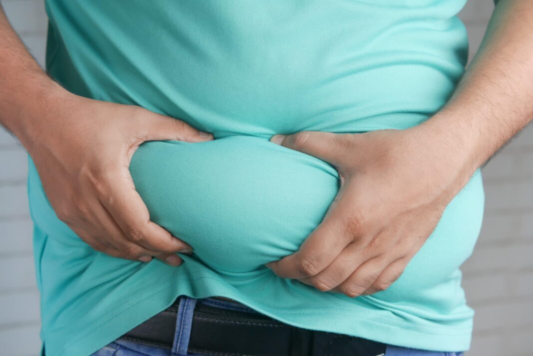 Torch Stubborn Fat: Lose 3kg in 3 Months with Moringa