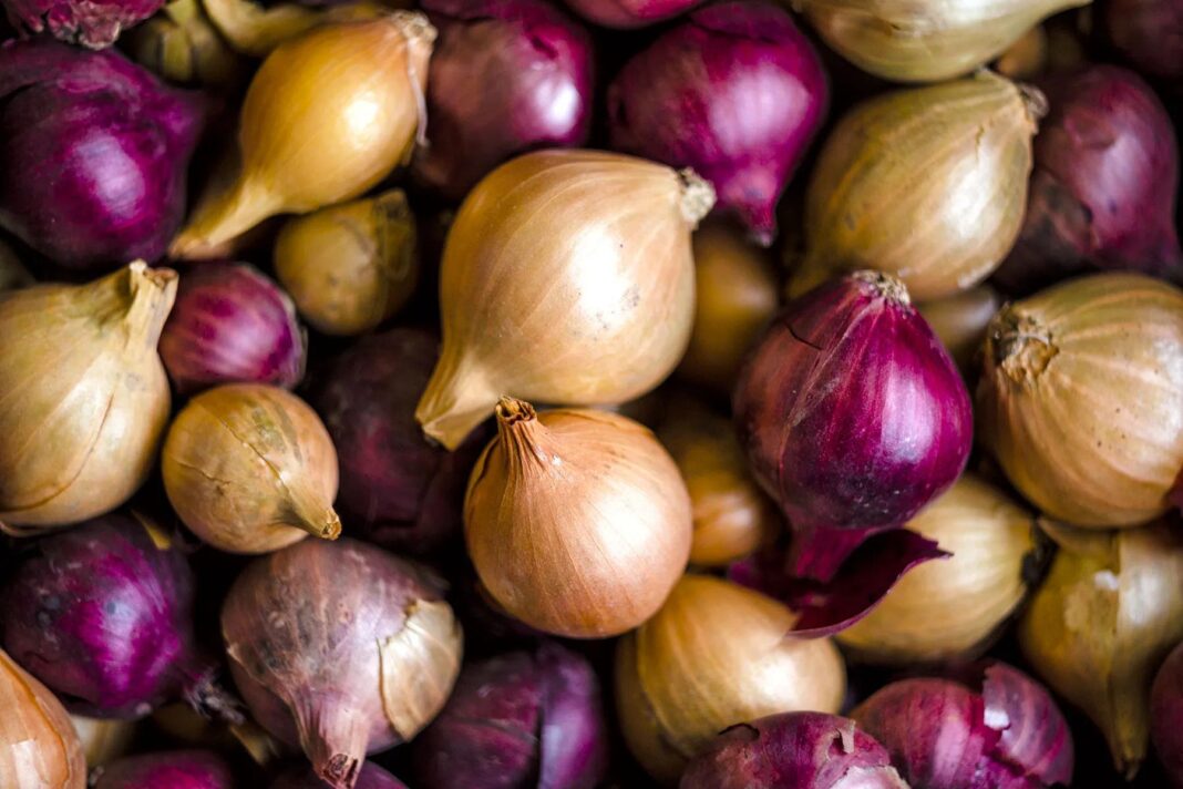 How to Melt Fat Fast: Lose 4kg in 21 Days with Red Onions