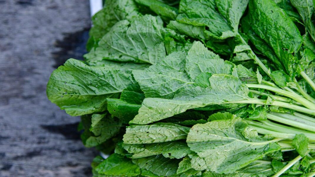 How to balance glucose levels by 1.9mmol/L in 14 days using mustard greens