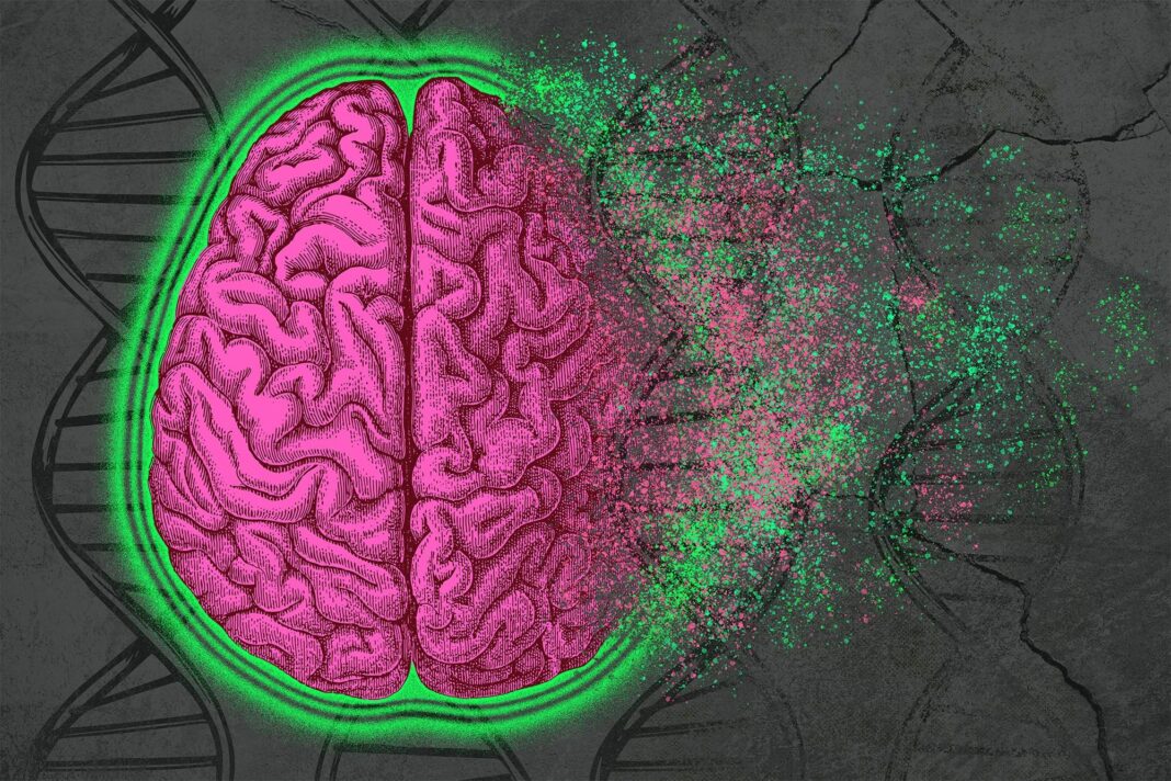 How to protect brain cells and boost brain power by 18% in 6 months with artichoke
