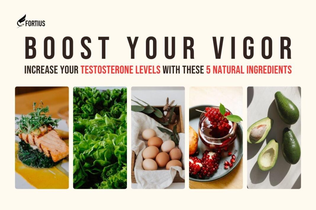 How to lift natural T by 14% in 3 months using lion’s mane mushroom