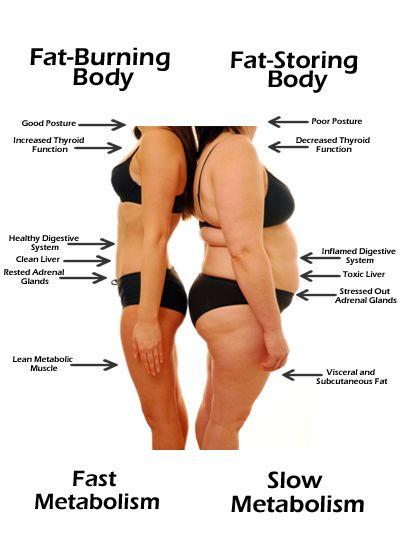 How to Melt Stored Fat: Lose 3kg in 7 Days with Dates