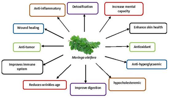 How to increase hormonal drive by 17% in 60 days using moringa