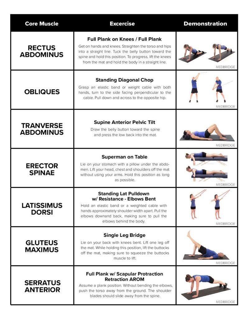 Understanding the Nutritional Benefits of Figs for Core Tightening