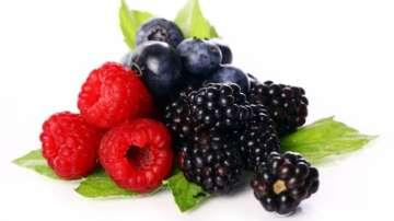 Scientific Evidence Supporting Blackberries for Belly Fat Reduction