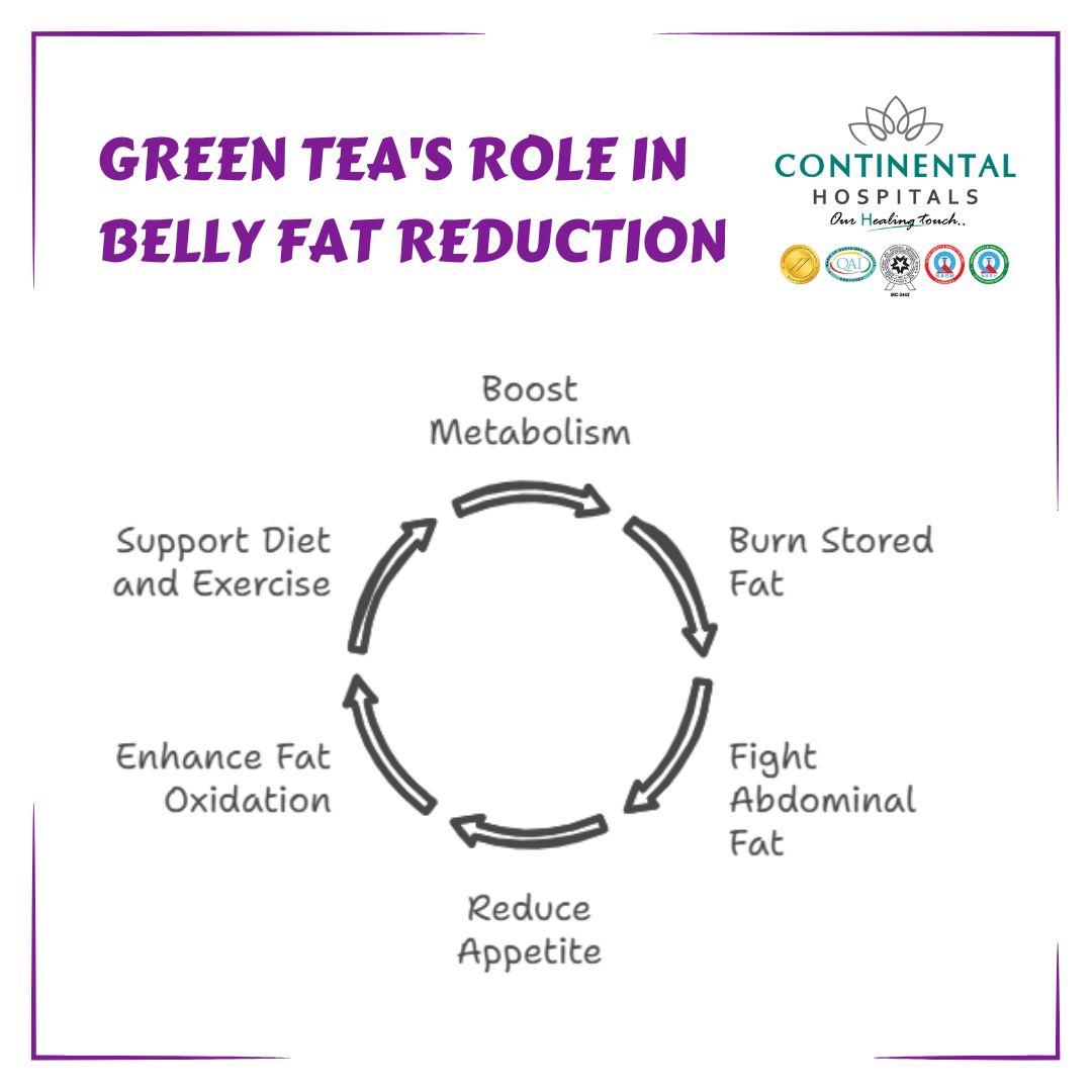 Understanding the Role of Matcha in Reducing Abdominal Fat