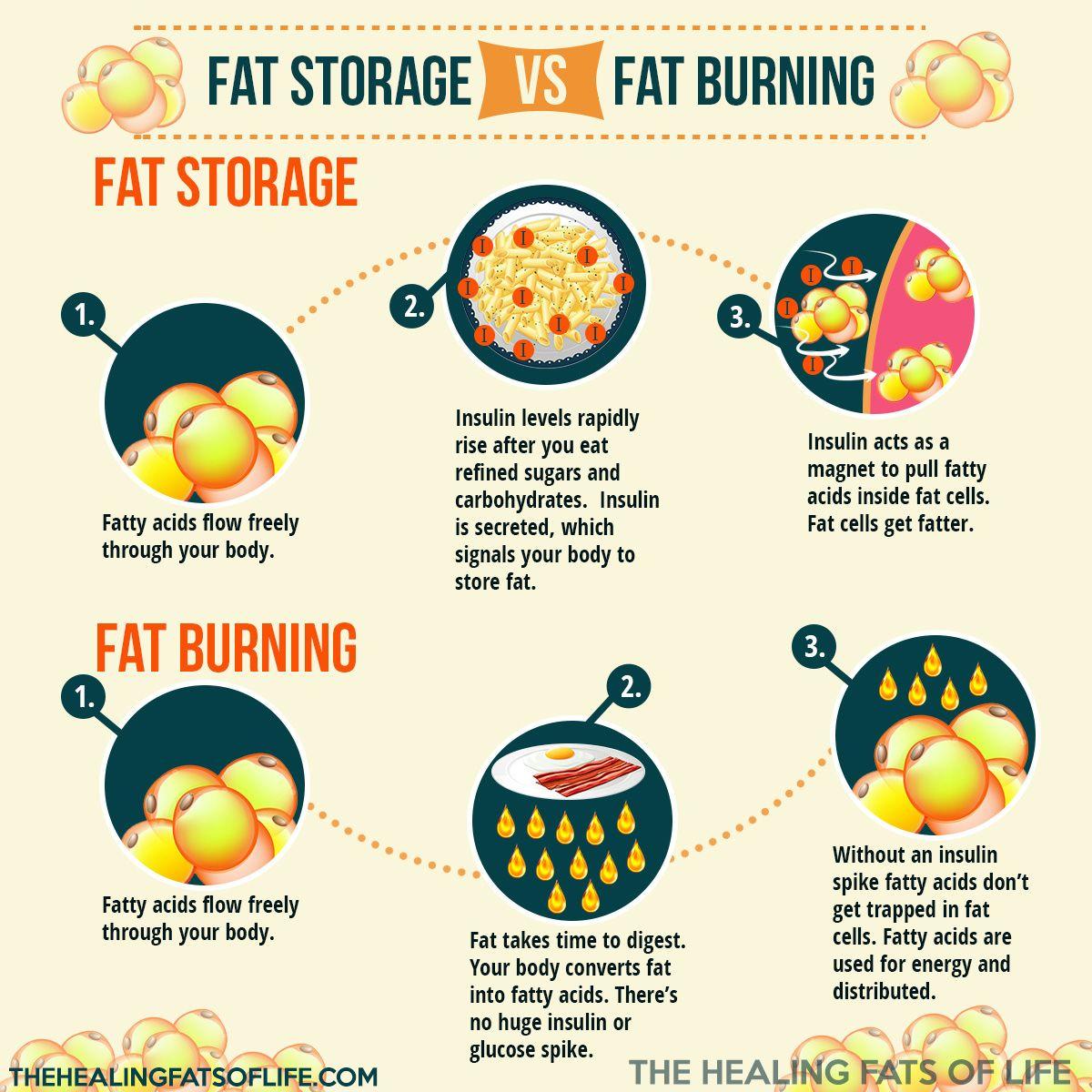 How to Melt Stored Fat: Lose 3kg in 7 Days with Dates