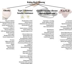 Scientific Evidence Supporting Ginseng for Targeted Fat Loss