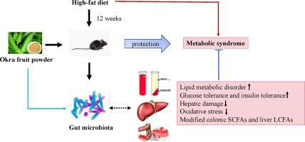 How Okra Promotes Metabolism and Targets Abdominal Fat