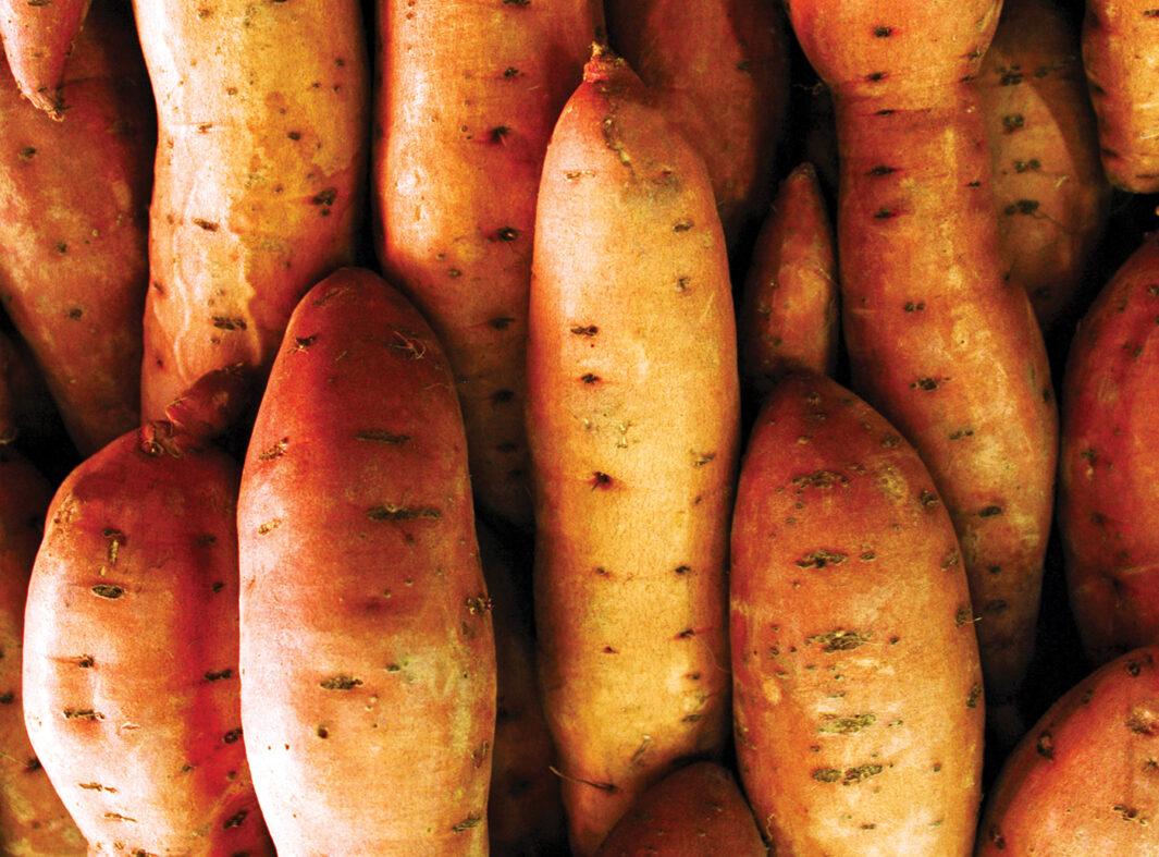 Exercise Routines that Complement Sweet Potato Consumption for Core Firmness