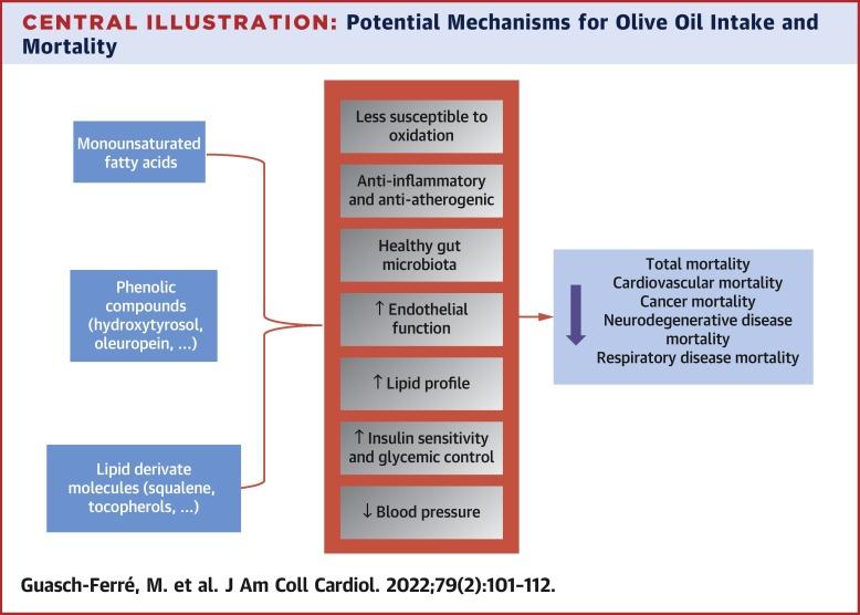 Monitoring Progress and Adjusting Olive Oil Intake to Sustain a 3cm Waist Reduction