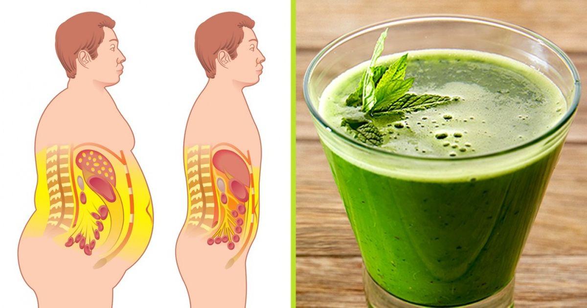 Complementary Lifestyle Changes to Maximize Sage's Belly Fat Burning Effects