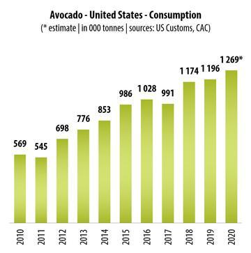 Combining Avocado Consumption with Targeted Exercise for Optimal Results