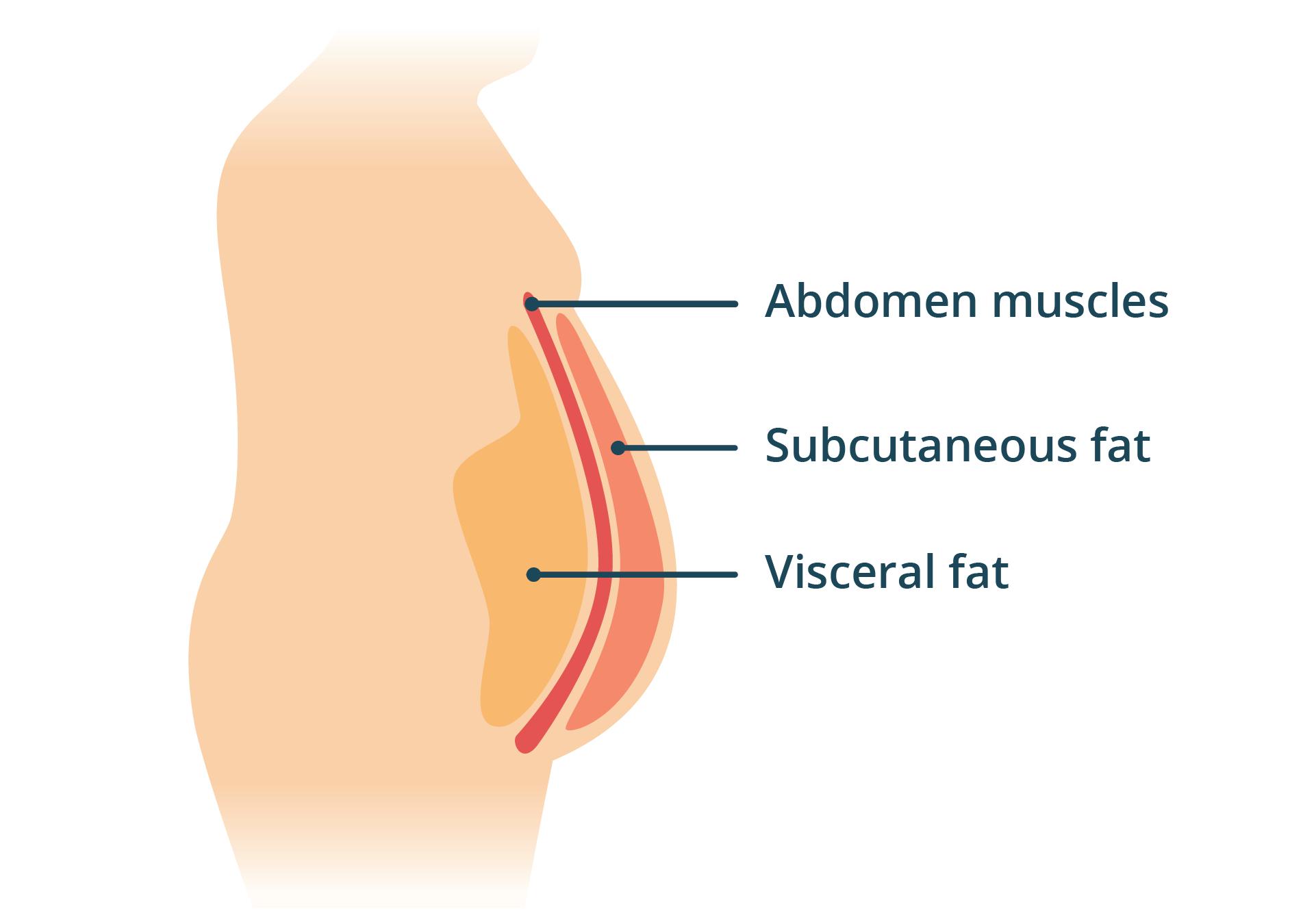 How to Melt Stored Fat: Lose 3kg in 45 Days with Watermelon