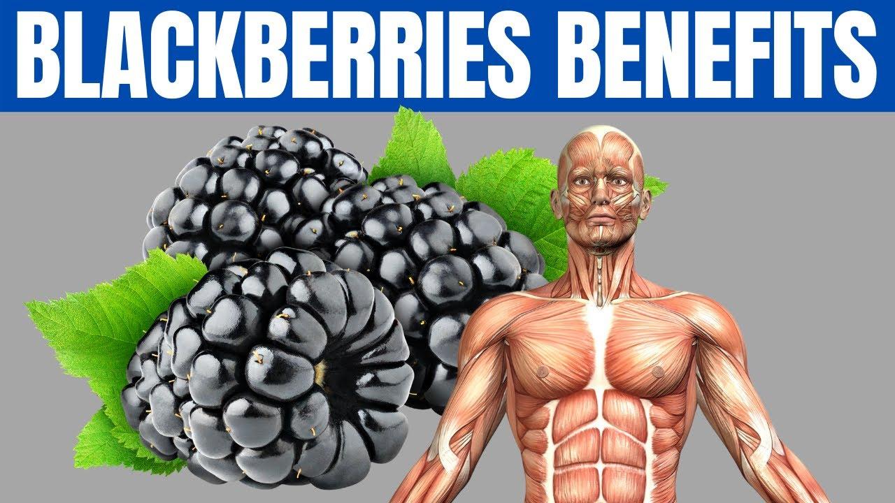Scientific evidence supporting blackberry consumption for targeted fat loss