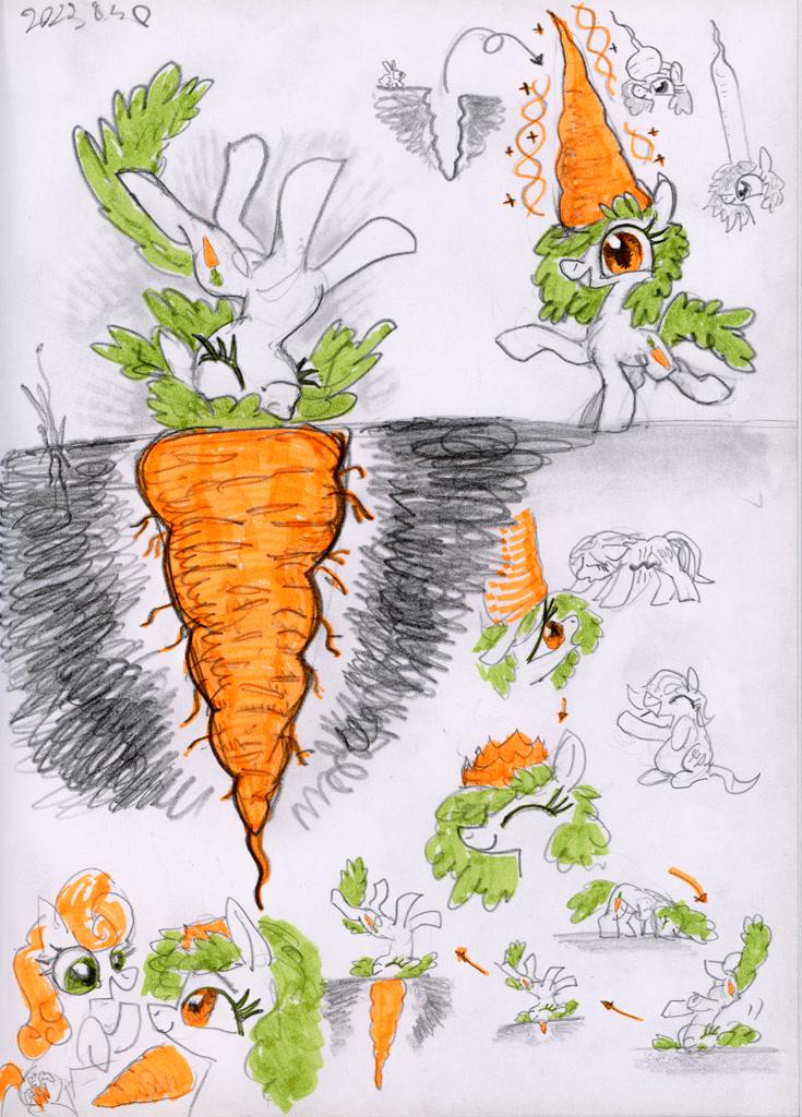 Understanding the Role of Carrots in Reducing Tummy Bulge