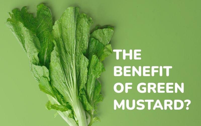 Scientific Evidence Supporting Mustard Greens in Metabolic Enhancement