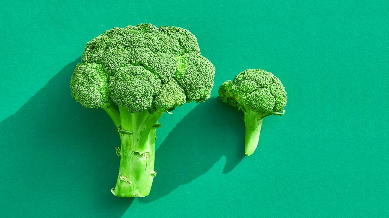 The Role of Fiber and Antioxidants in Broccoli to Boost Metabolism