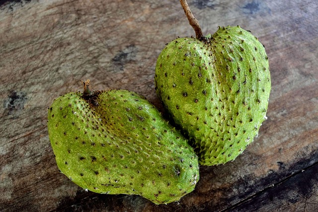 Top 11 Health Benefits For Eating Soursop Daily