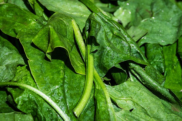 Top 11 Health Benefits For Eating Spinach Daily