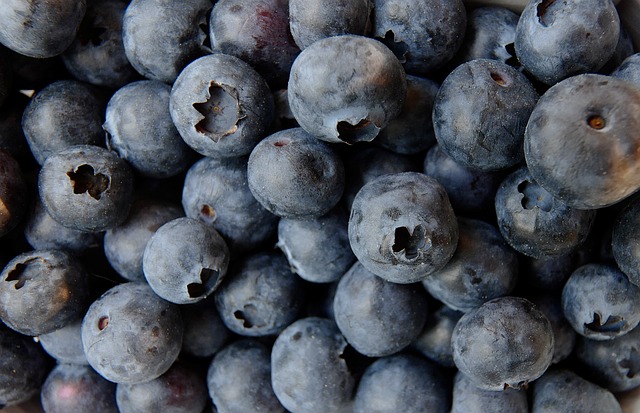 Top 12 Health Benefits For Eating Blueberries Daily