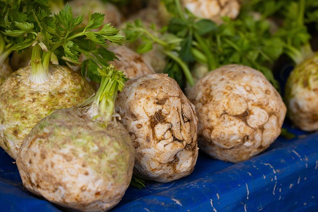 Top 15 Health Benefits For Eating Celery Daily