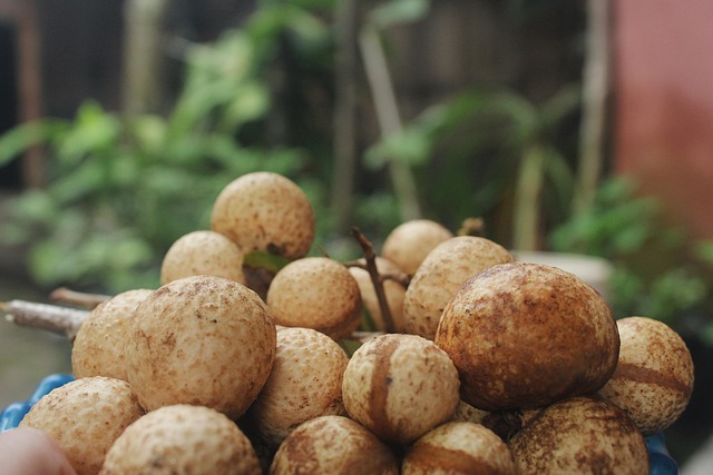 Top 15 Health Benefits For Eating Longan Daily