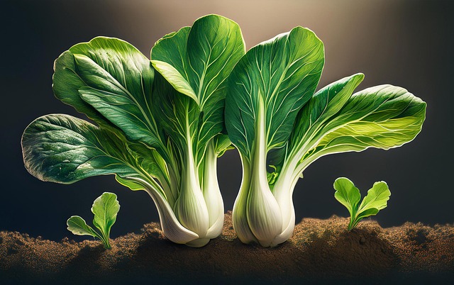 Top 5 Health Benefits For Eating Bok Choy Daily