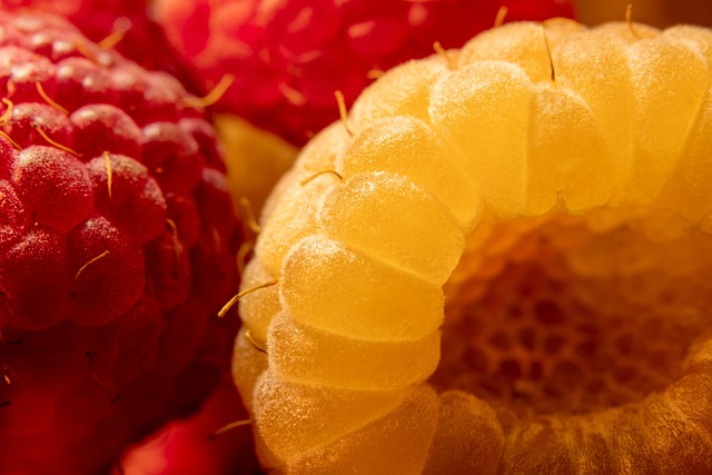 Top 7 Health Benefits For Eating Raspberries Daily