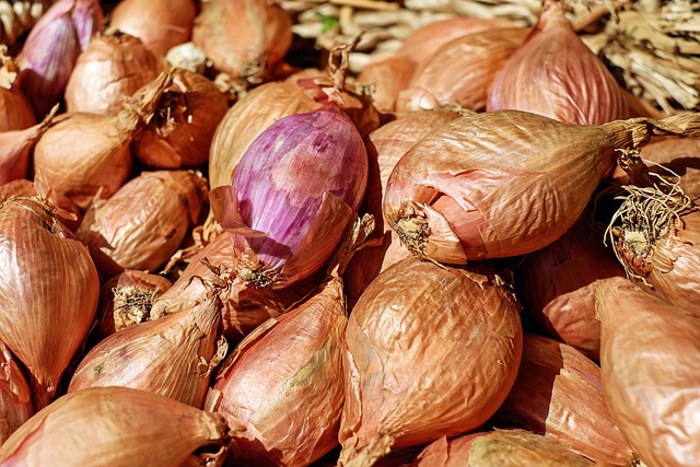 Top 7 Health Benefits For Eating Shallots Daily