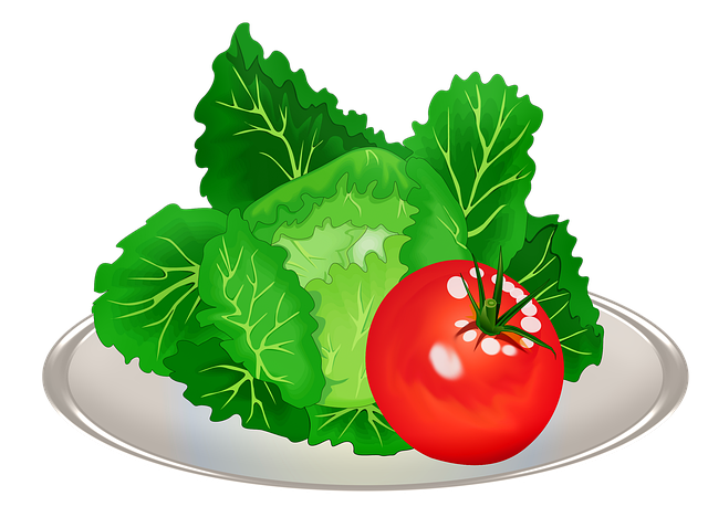 Top 8 Health Benefits For Eating Romaine Lettuce Daily