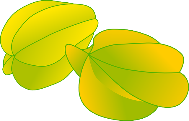 Top 9 Health Benefits For Eating Starfruit Daily