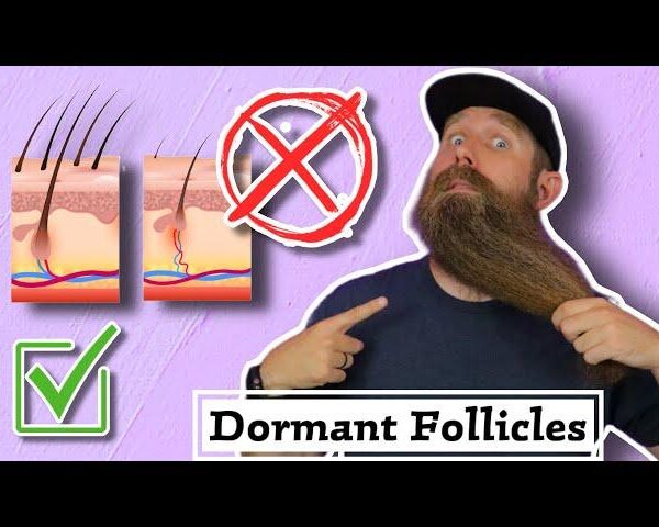 How to wake dormant follicles — add 3992 new strands in 14 days with chia seeds